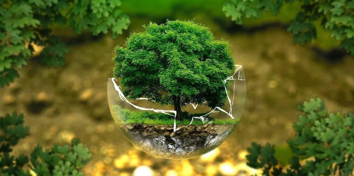 Latinoamérica sella primer pacto ambiental, pionero en proteger activistas