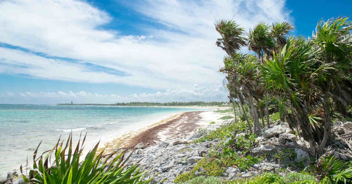Congreso exhorta a municipio de Tulum y reconsideré cambio de uso de suelo en Xcacel - Xcacelito