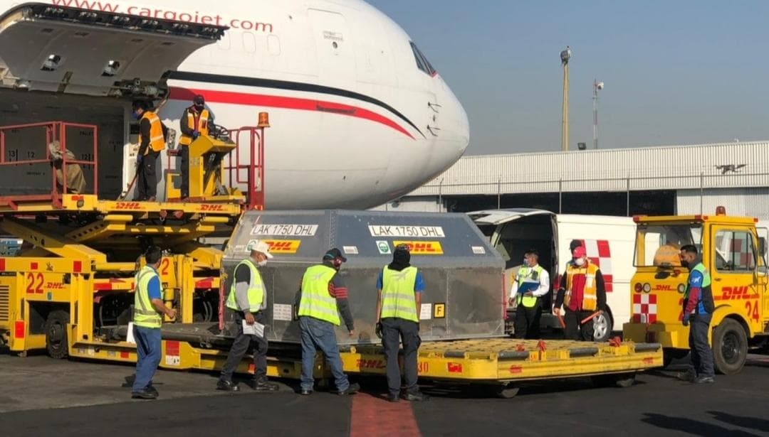 Recibe México 487 mil 500 vacunas de Pfizer