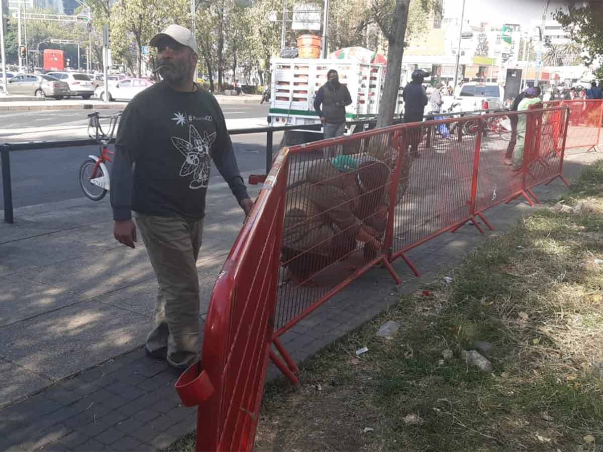 Retiran campamento de marihuana que estaba cerca del Senado