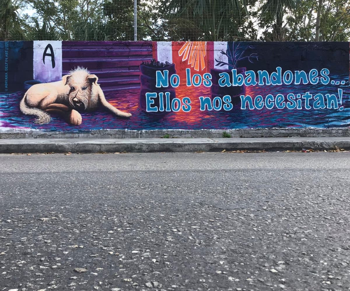 "No los abandones": artista urbana dedica mural a "Chaak" y a perritos en desamparo