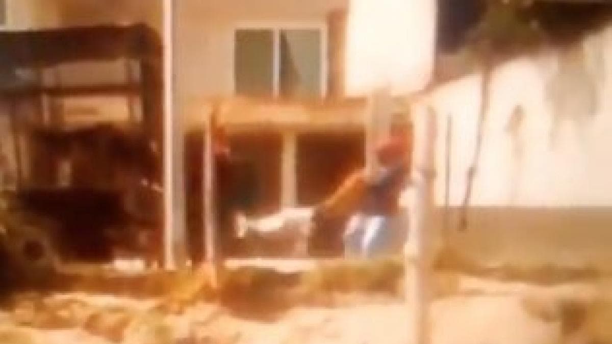 VIDEO: Exhiben a empleados de una red de Protección Animal en Puebla maltratando perros