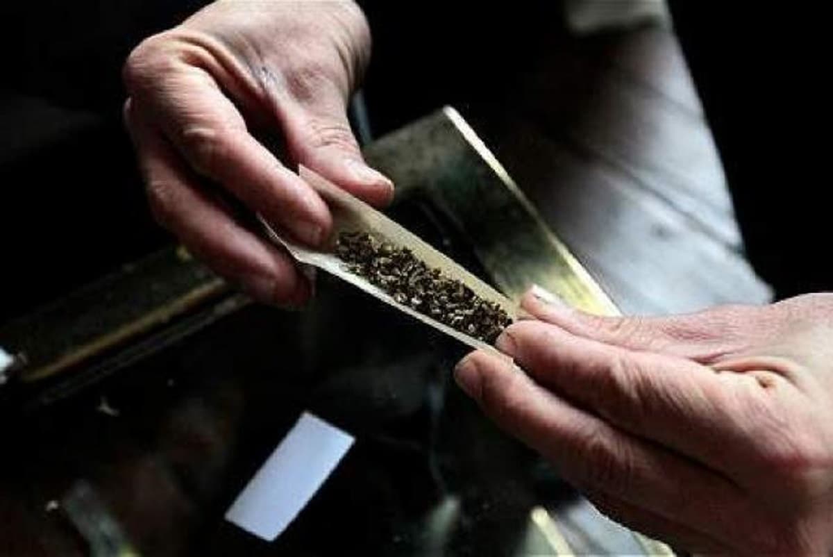 Es legal el uso lúdico mariguana; Suprema Corte falla a favor