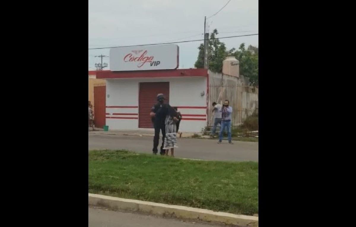 VIDEO: Abejas africanizadas atacan en Chetumal