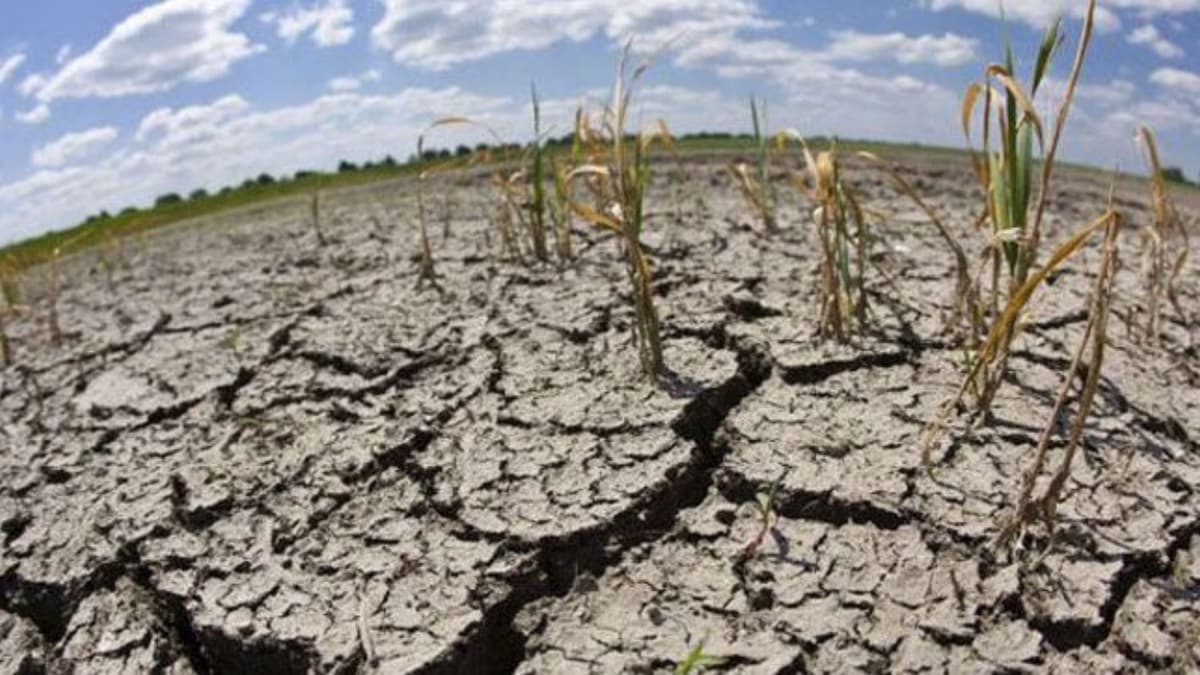Sequía alcanza a más de 60 por ciento del territorio nacional por falta de lluvias