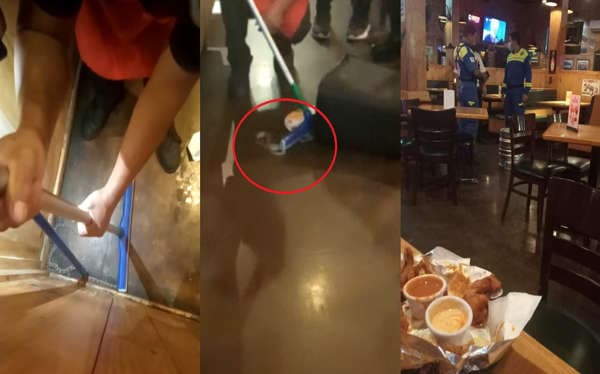 VIDEO: Cae víbora en la mesa donde comía una familia en Nuevo León