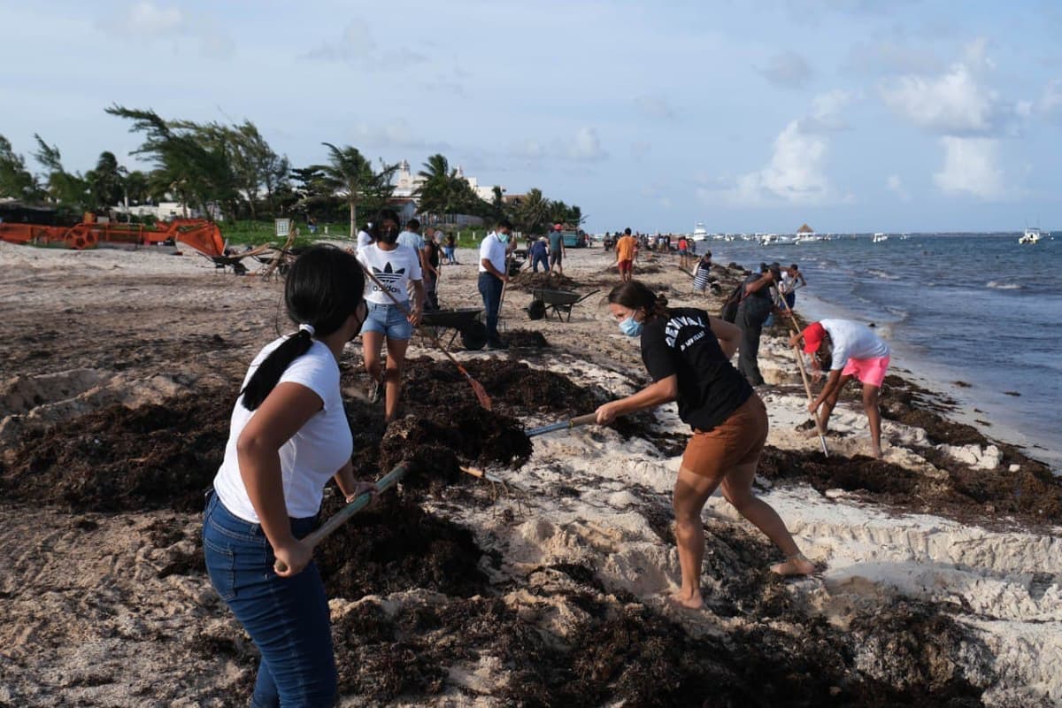 Participa comunidad religiosa de Puerto Morelos en limpieza de sargazo en playas