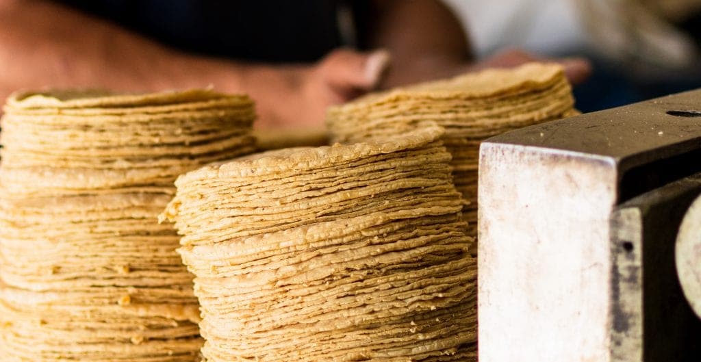 Precio de la tortilla baja a 10 pesos... ¡Como por arte de magia!