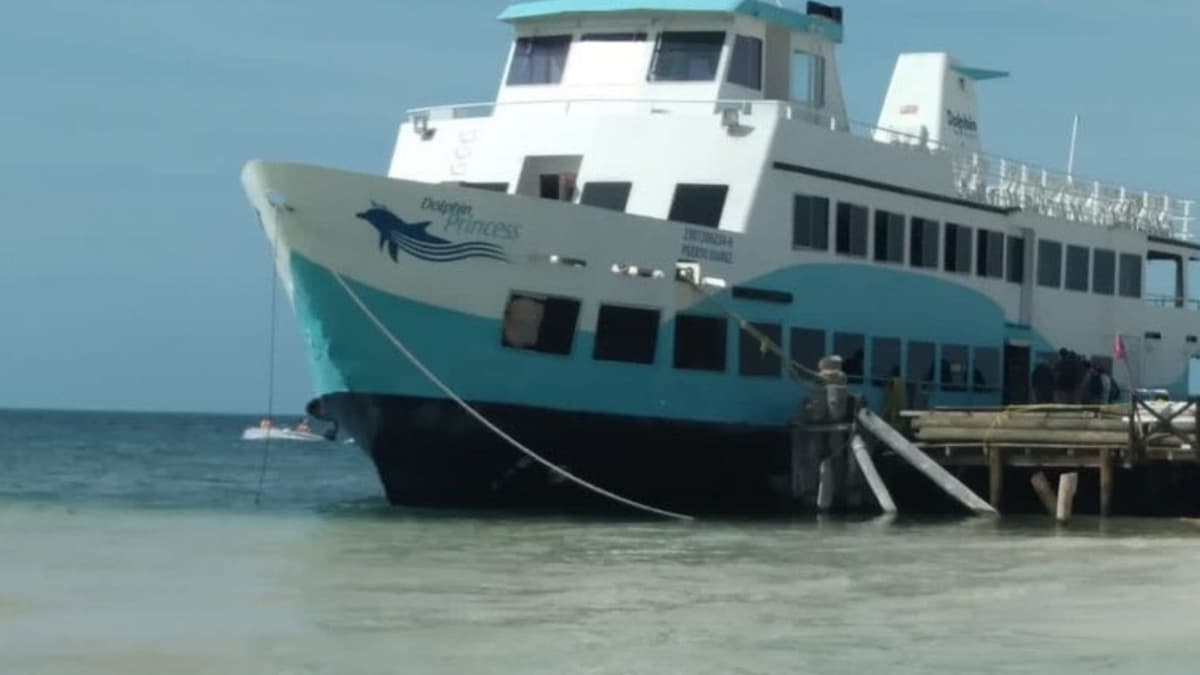 ¡Alerta! Avistan cinco cocodrilos en playa Langostas