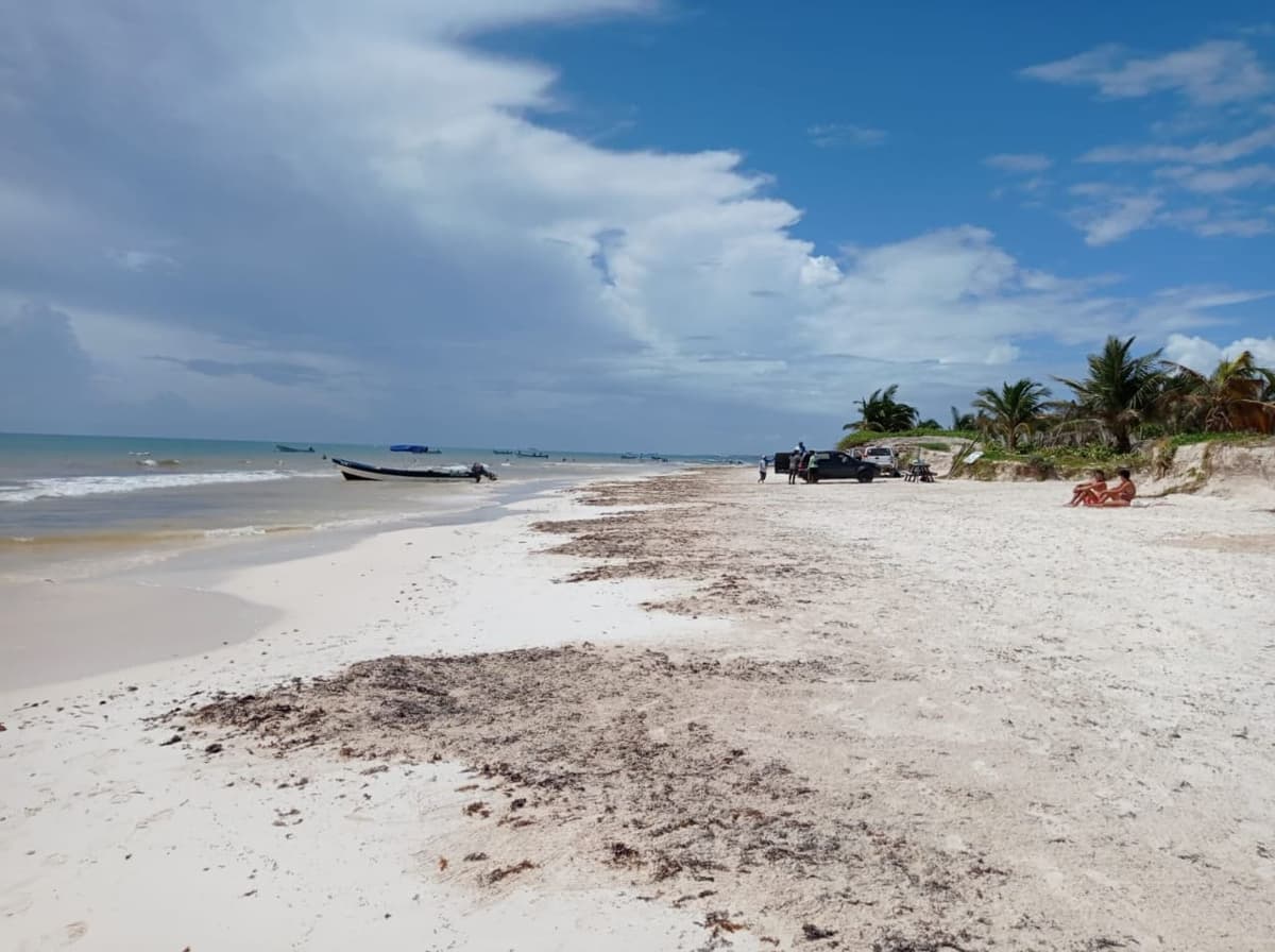Continúan labores de limpieza en playas de Tulum