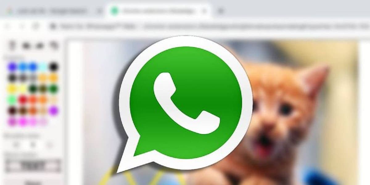 Tus fotos más chulas: así puedes añadir Paint a WhatsApp Web y editar imágenes