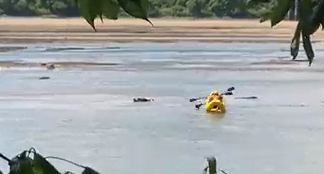 VIDEO: 'Cadáver' en un río desata operativo de rescate, era un hombre durmiendo