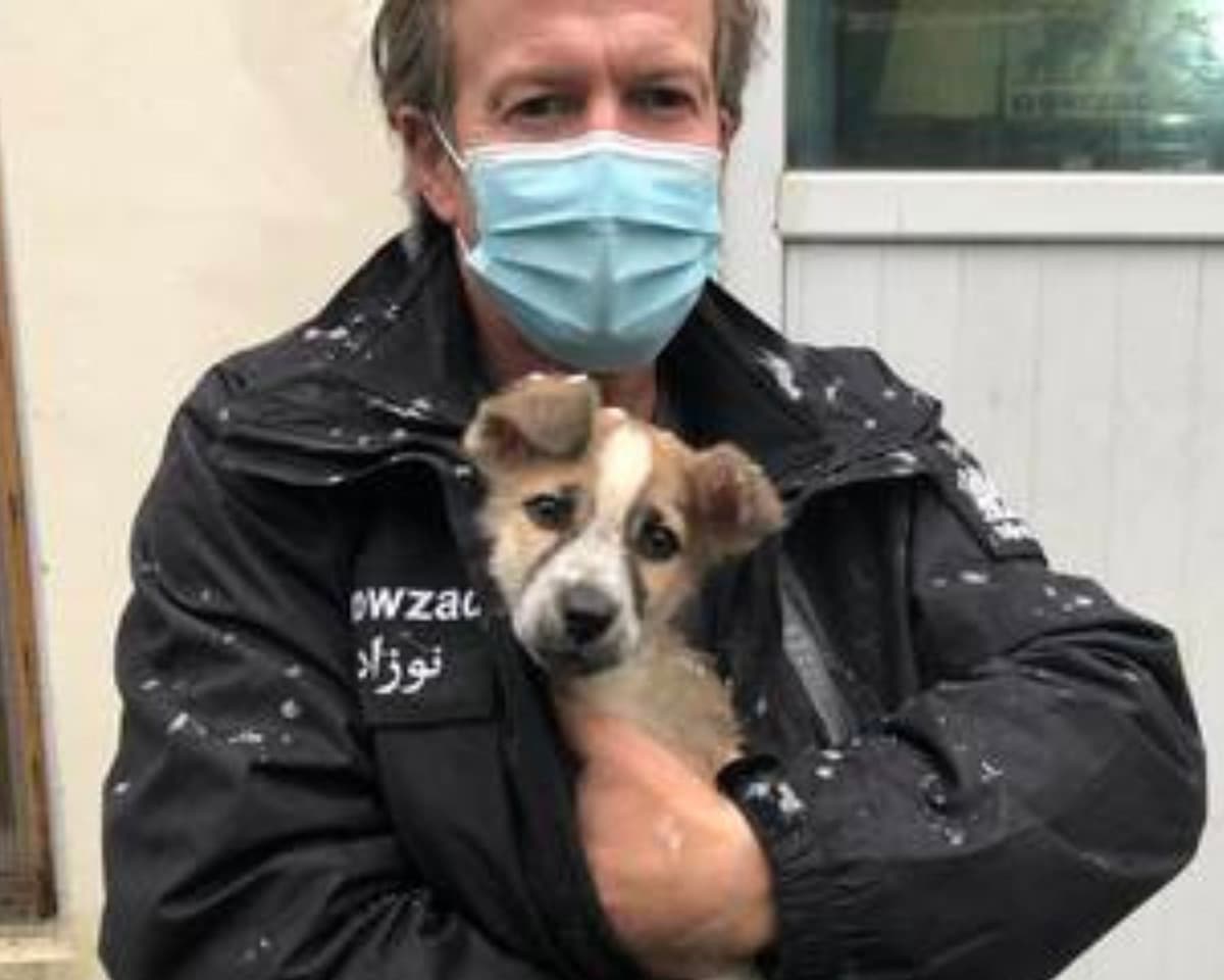 Rescatista de animales se niega a irse de Afganistán sin los perritos que cuida