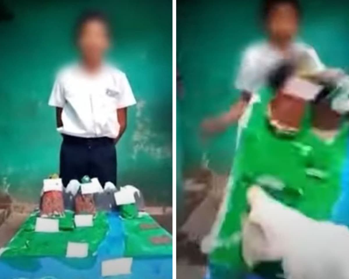 VIDEO: Gato le destruye la maqueta a un niño en plena clase virtual