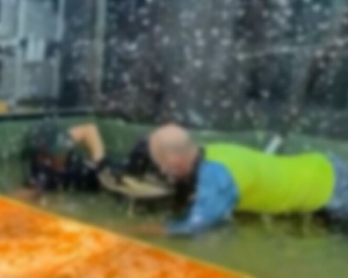 VIDEO: Caimán ataca salvajemente a entrenadora en plena presentación