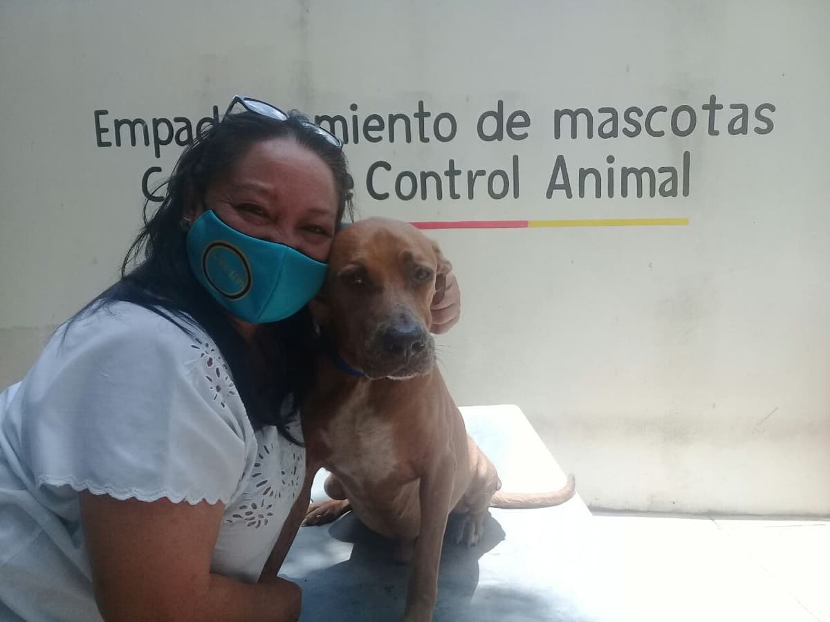 Promueve Ayuntamiento de Cozumel la tenencia responsable de mascotas