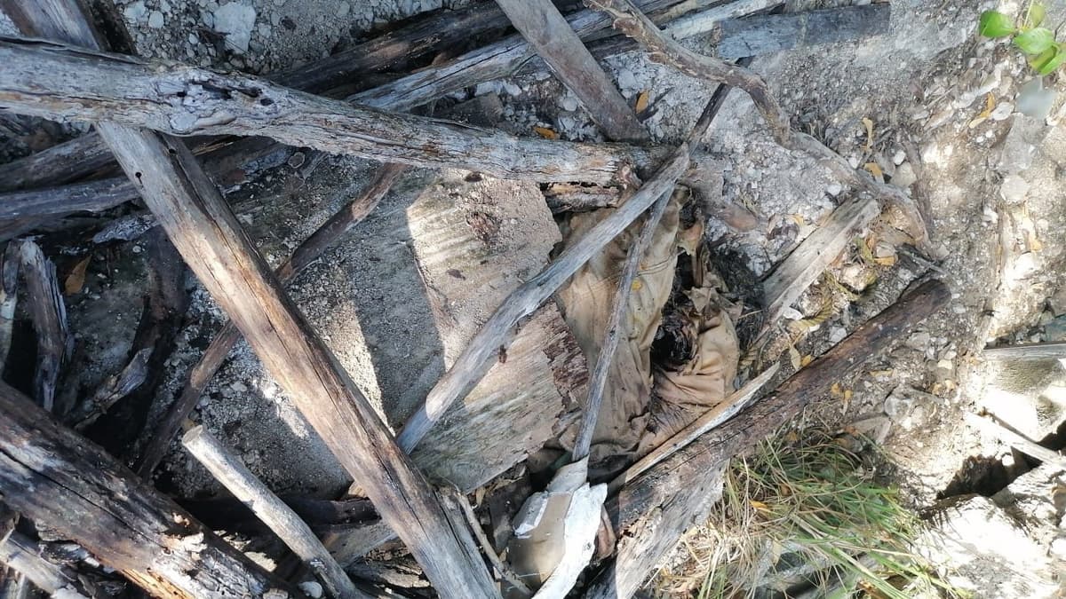 Hallan cuerpo de una persona en avanzado estado de descomposición cerca de la laguna Kaan Luum, en Tulum