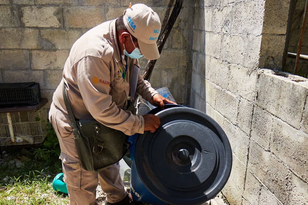 Gobierno de Cozumel realiza acciones contra el mosquito transmisor de enfermedades