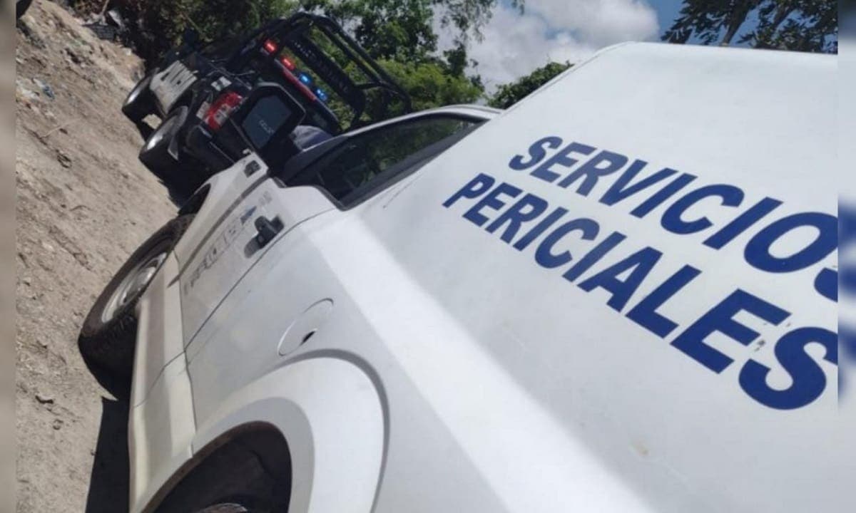 TRAGEDIA: Hallan el cuerpo de una mujer colgado de un árbol en Playa del Carmen