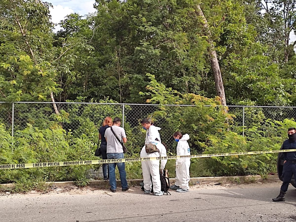 Hallan cráneo humano a orillas del arco vial de Cancún