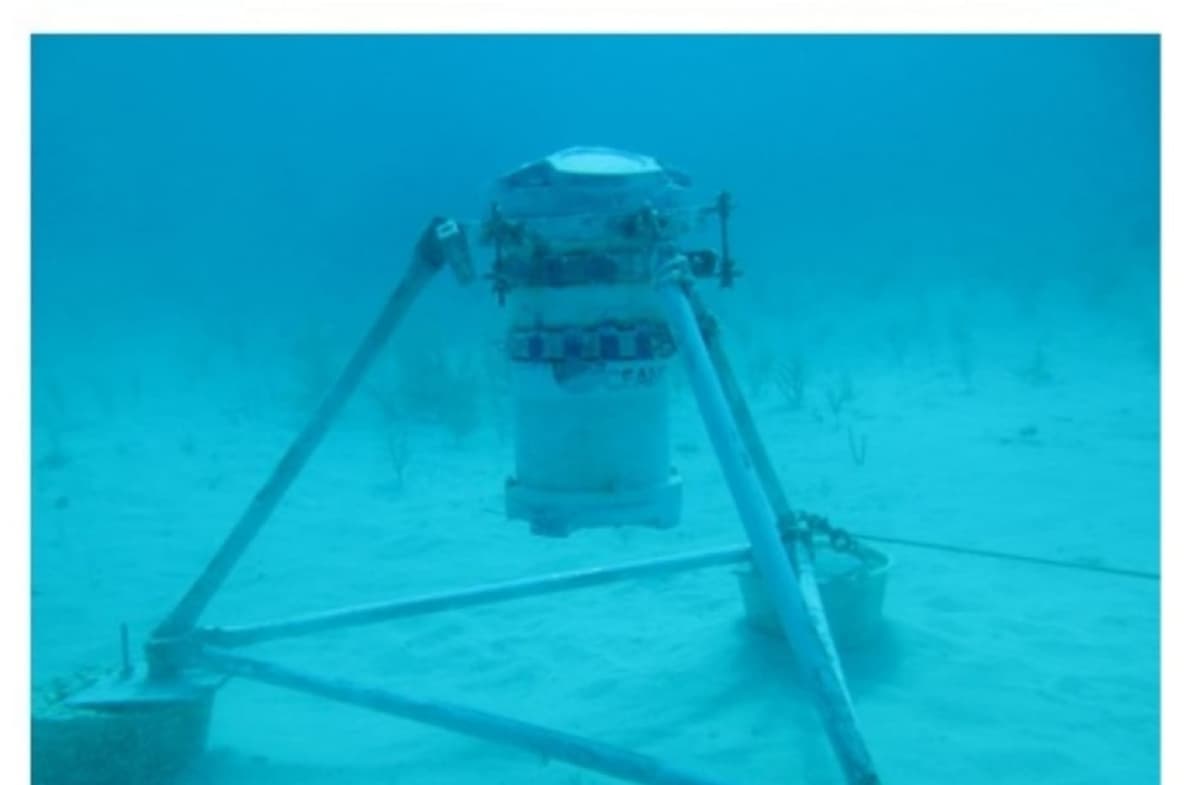 Recompensa de 1000 USD: buscan equipo de investigación oceanográfica en Cancún