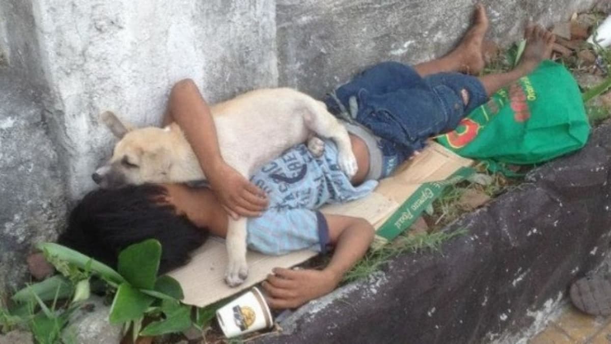 Un niño de la calle adopta a un perro para no esté solo