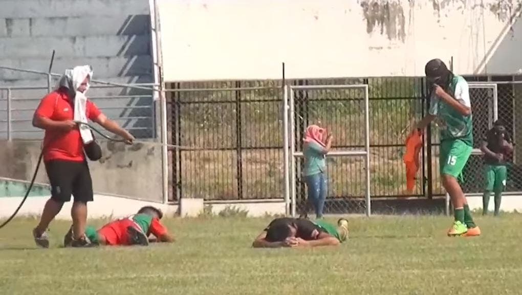 VIDEO: Abejas atacan a jugadores en pleno partido de fútbol y estos salen corriendo