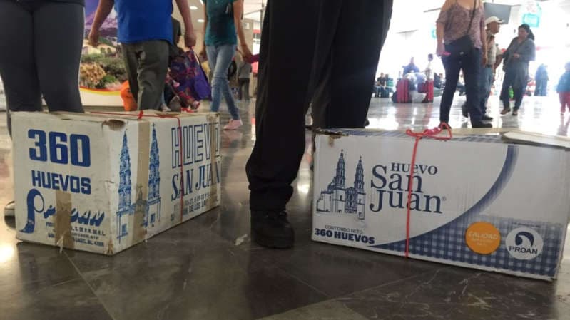 ADO prohíbe usar cajas de huevo como equipaje