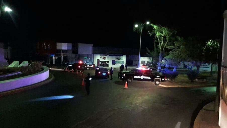 Mayor vigilancia permitió decomiso sostenido de drogas en Quintana Roo a partir de 2018