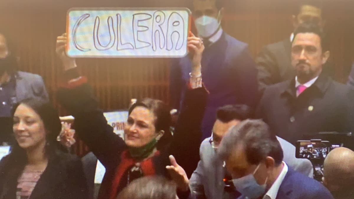 Surge “Lady Culer*”, es Marisol Gasé, diputada de Morena