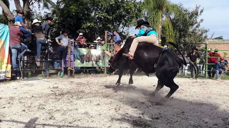 Menores montan toros en jaripeos para ganar 30 mil pesos