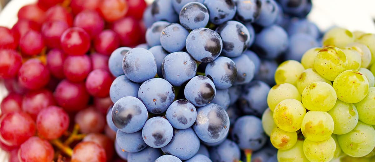 ¡Los 12 deseos saldrán costosos! Kilo de uvas se consigue hasta en 126 pesos