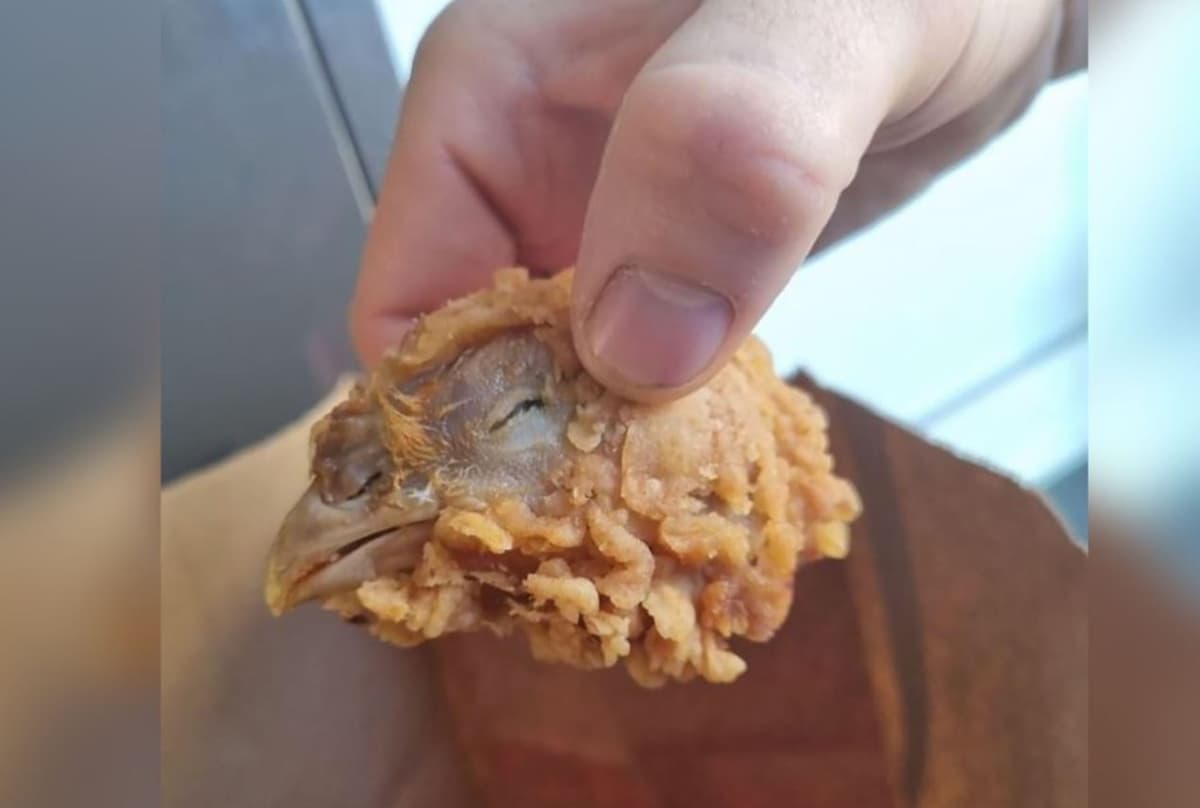 Viral: Pidió unas alitas y le llegó una cabeza de pollo completa en su orden