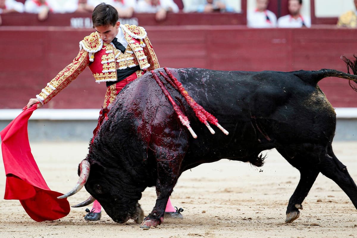 Respaldan en comisiones prohibición de corridas de toros en CDMX