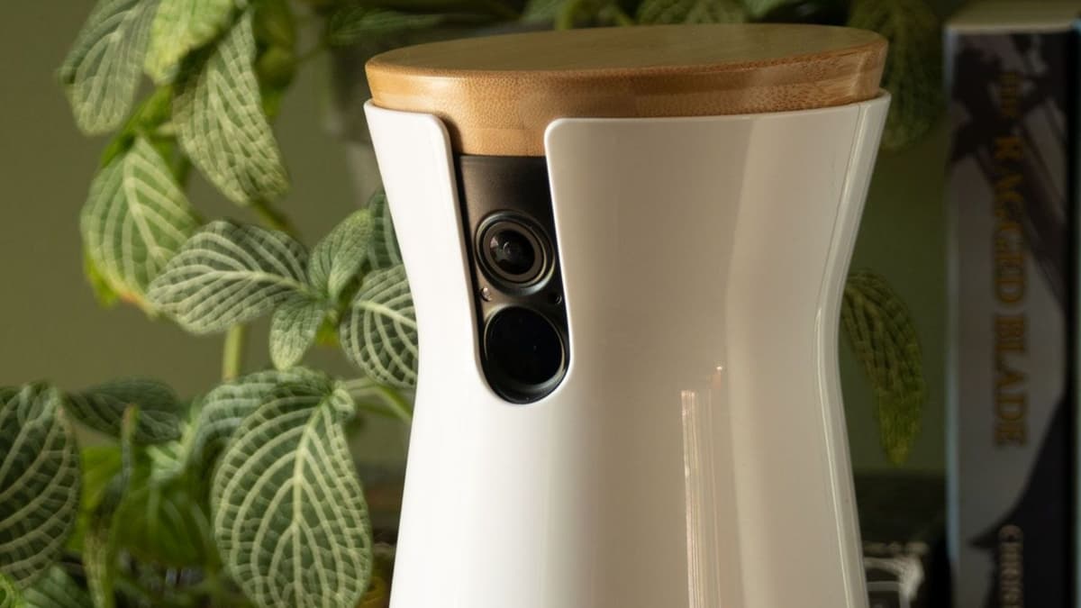 'Hola, hermosa', sujeto hackea cámara para mascotas para espiar a una mujer, lo denuncian