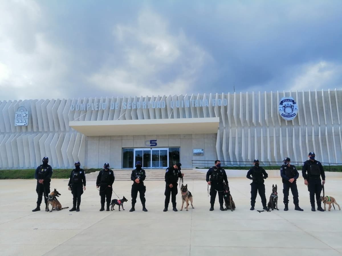 Quintana Roo cuenta con una Unidad Canina de la SSP para prevenir el delito y cuidar la salud de la gente