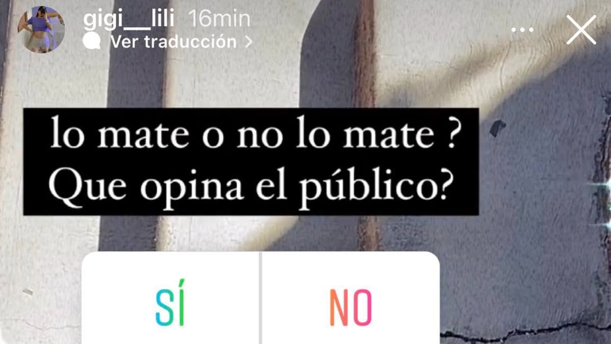 Mujer presume en Instagram que atropelló un perrito