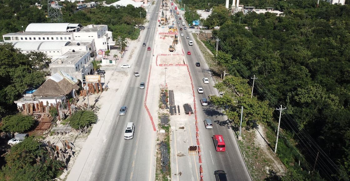 PLAYA DEL CARMEN | La 4T retiró 20 mil árboles y gastó 478 MDP en Tren Maya para cambiar el trazo