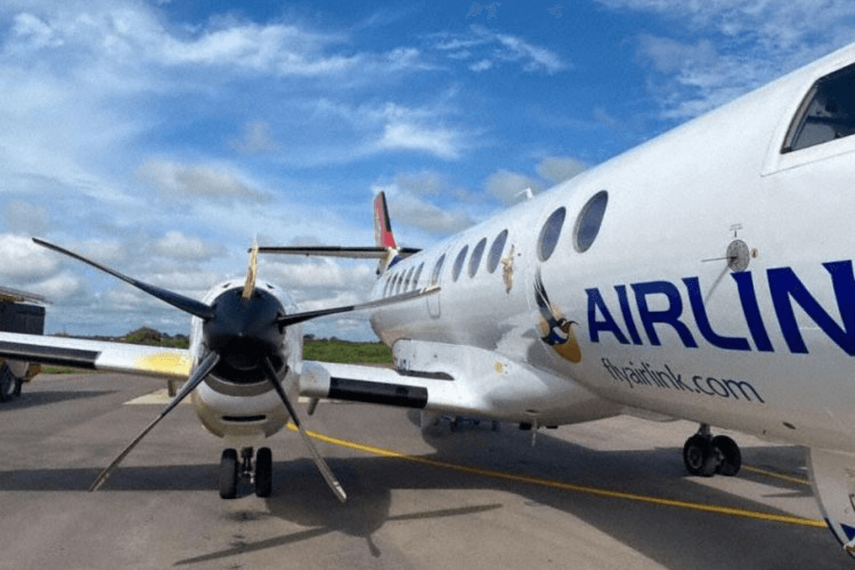 ¡Insólito! Ave de gran tamaño choca contra un avión en pleno aterrizaje