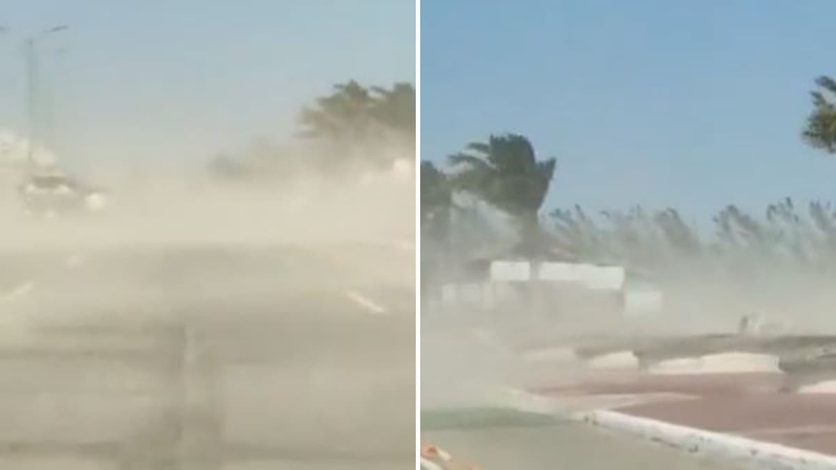 VIDEO: Fuertes vientos del frente frío 19 dejan daños en Tamaulipas, ráfagas de hasta 100 kph