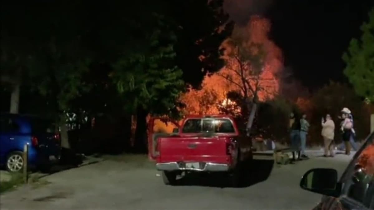 Grupo de personas incendia vivero en Saltillo dejando daños ecológicos importantes