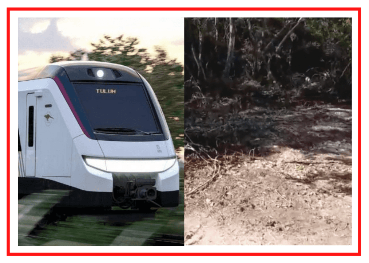 Nueva ruta, nueva afectación: desmontan senderos en Akumal para el Trazo 5 del Tren Maya