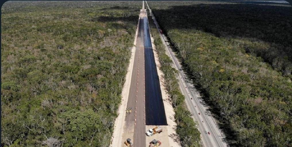 No hay estudios sobre el impacto ambiental por Tren Maya en tres primeros tramos