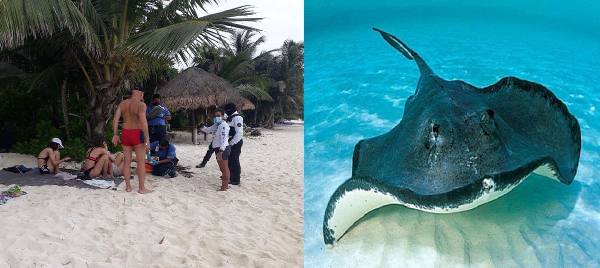 Turista sueca es picada por una mantarraya en Tulum