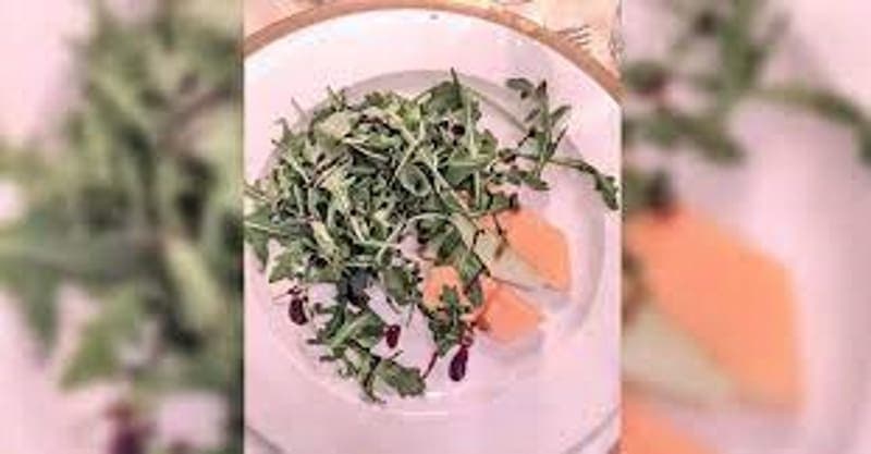 Invitados se quejan tras recibir “plato de boda vegano”