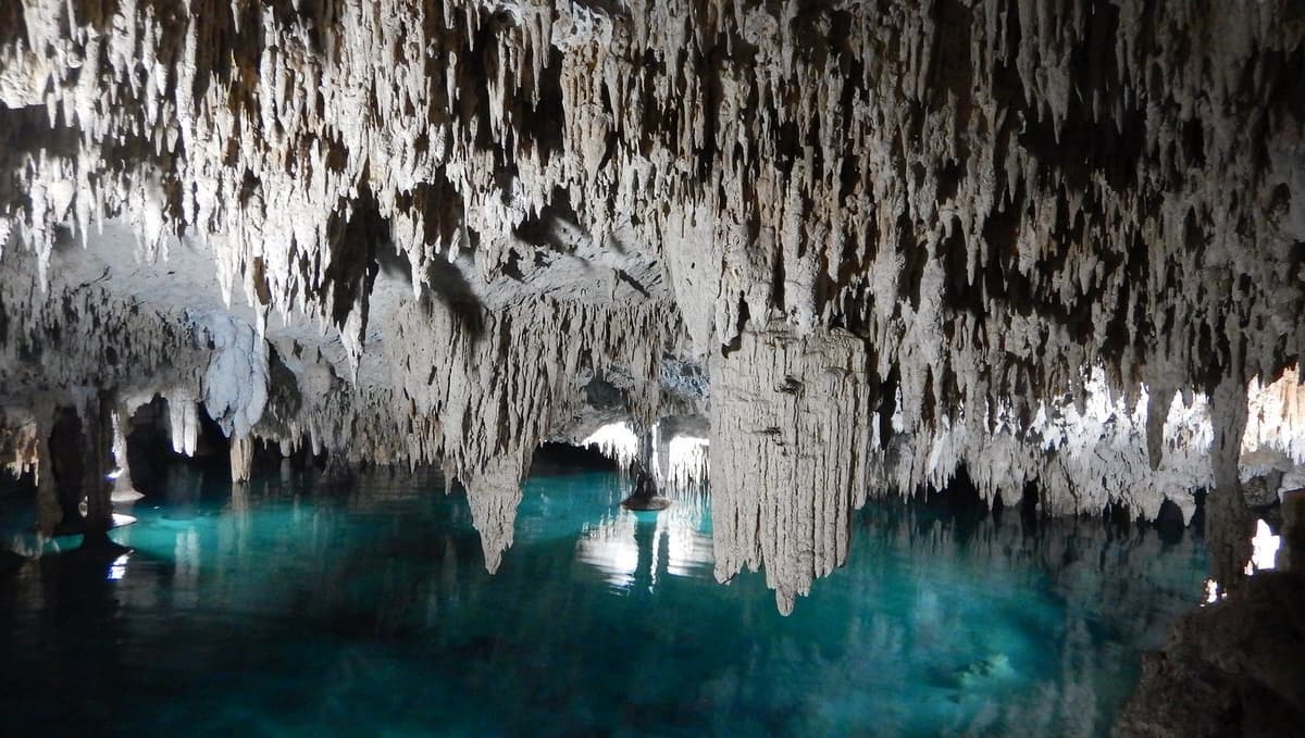 ¿Por qué el Tren Maya amenaza el Acuífero y el color Turquesa de la Riviera Maya?