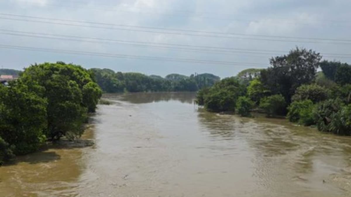 Confesó no tener recursos para alimentarlo: madre arroja a su hijo al río y arriesga 10 años de cárcel