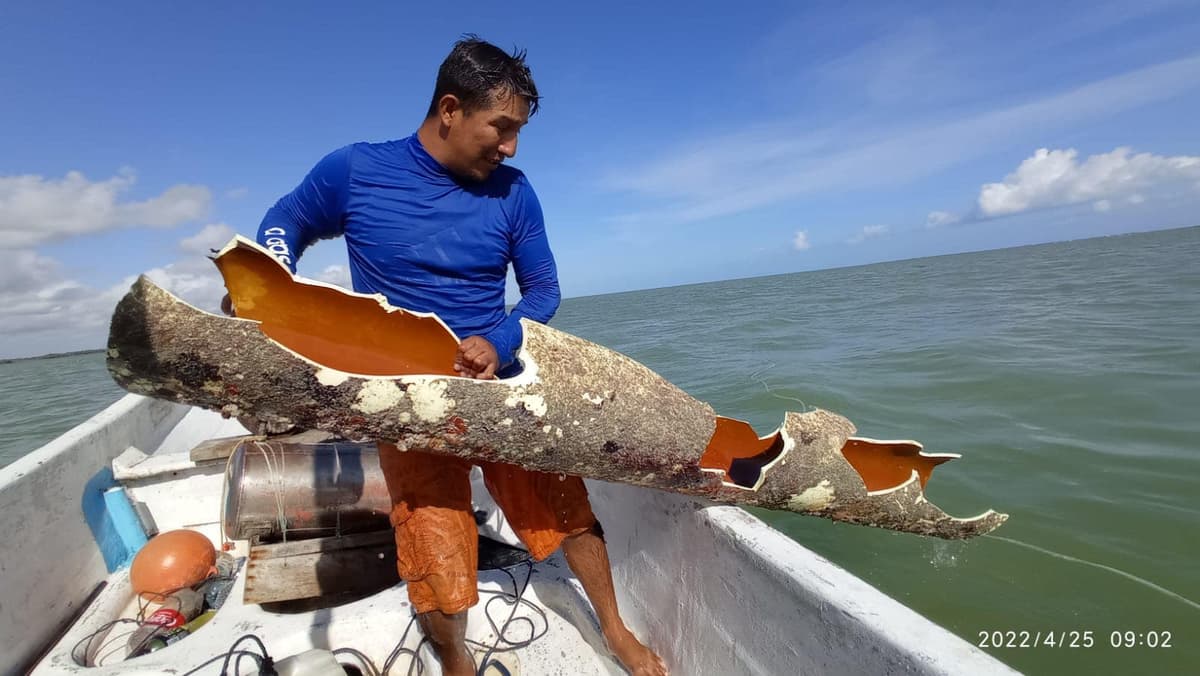 Holbox se quedará sin agua tras ruptura de una línea submarina que conduce el vital líquido