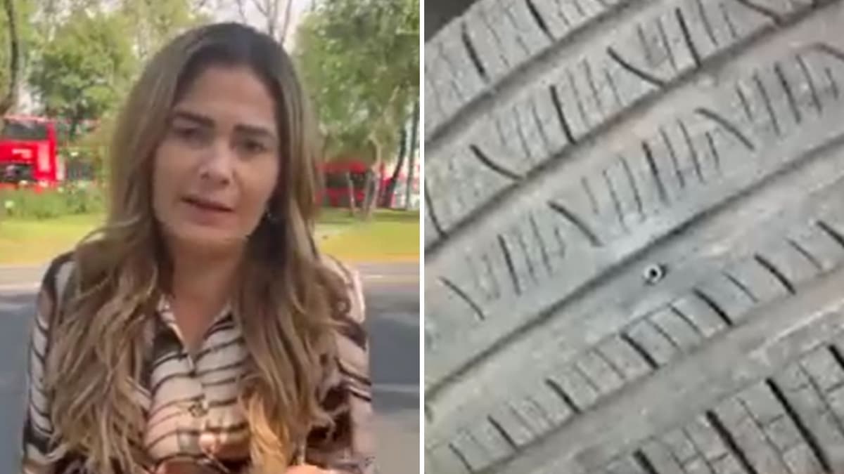 Diputada panista denuncia ser asaltada en la CDMX y culpa a Morena: 'es una prueba de rencor'