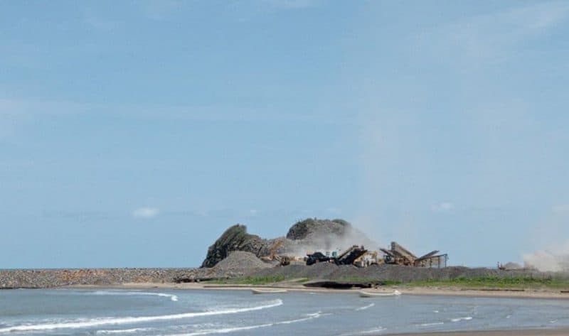 Balzapote: ecocidio silencioso en los Tuxtlas al servicio del Tren Maya